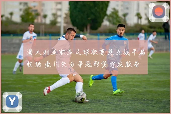 澳大利亚职业足球联赛焦点战平局收场 豪门失分争冠形势愈发胶着