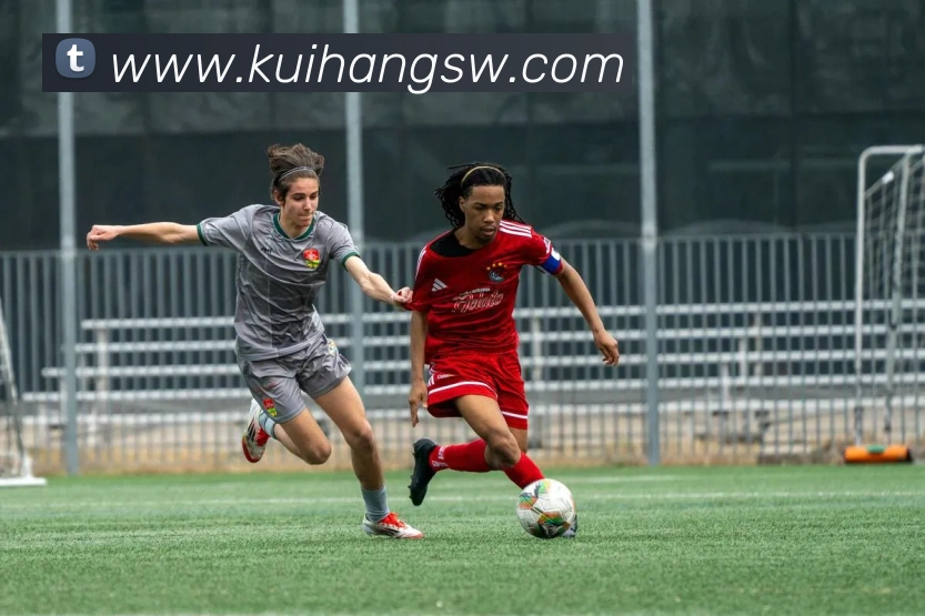 kaiyun开云官方网站平台生态图